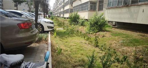 園林綠化工程竣工驗(yàn)收報(bào)告流程與機(jī)構(gòu)指南